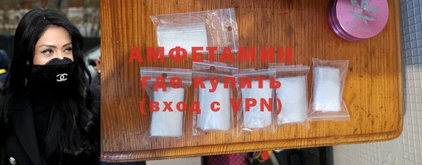молекула духа Няндома
