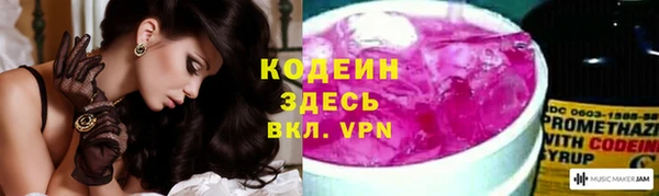 молекула духа Няндома
