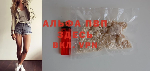 молекула духа Няндома