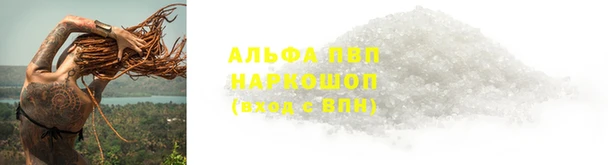 молекула духа Няндома