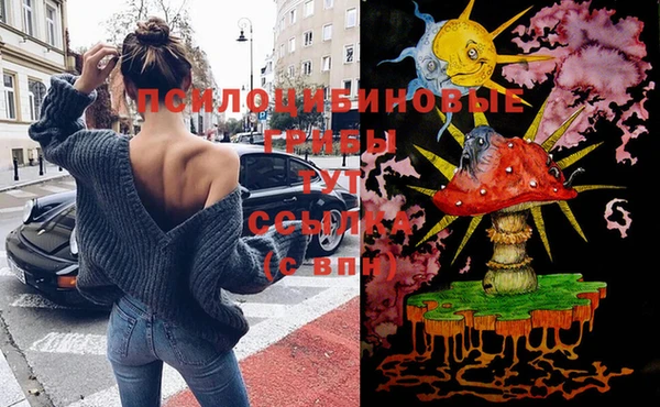 молекула духа Няндома