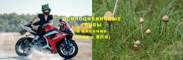 бошки Нязепетровск