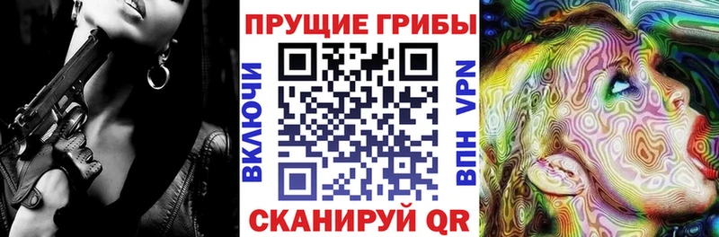 мориарти клад Волоколамск Псилоцибиновые грибы Cubensis