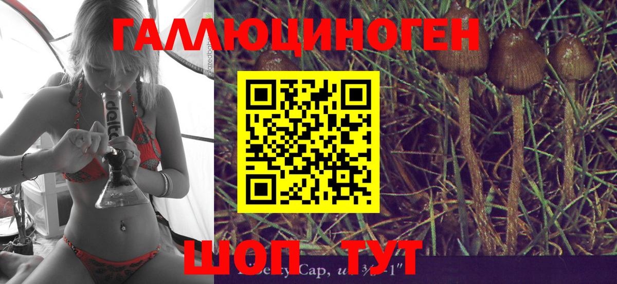 Галлюциногенные грибы мухоморы  дарнет шоп  Волоколамск  Галлюциногенные грибы GOLDEN TEACHER 