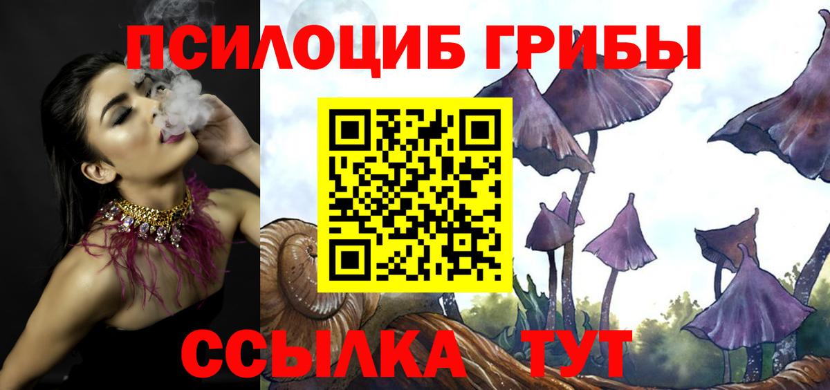 Псилоцибиновые грибы мухоморы  где продают наркотики  Волоколамск  Галлюциногенные грибы Psilocybine cubensis  Вход с VPN 