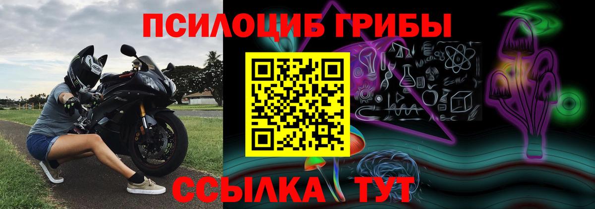 Псилоцибиновые грибы прущие грибы Волоколамск